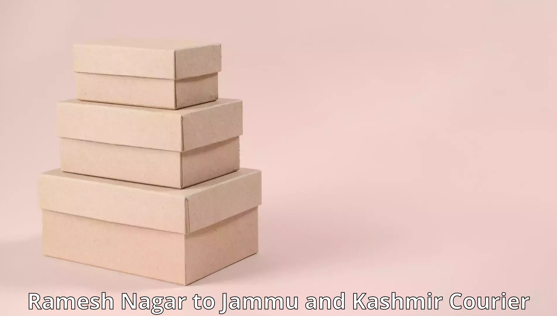 Professional furniture movers in Ramesh Nagar to Jammu and Kashmir