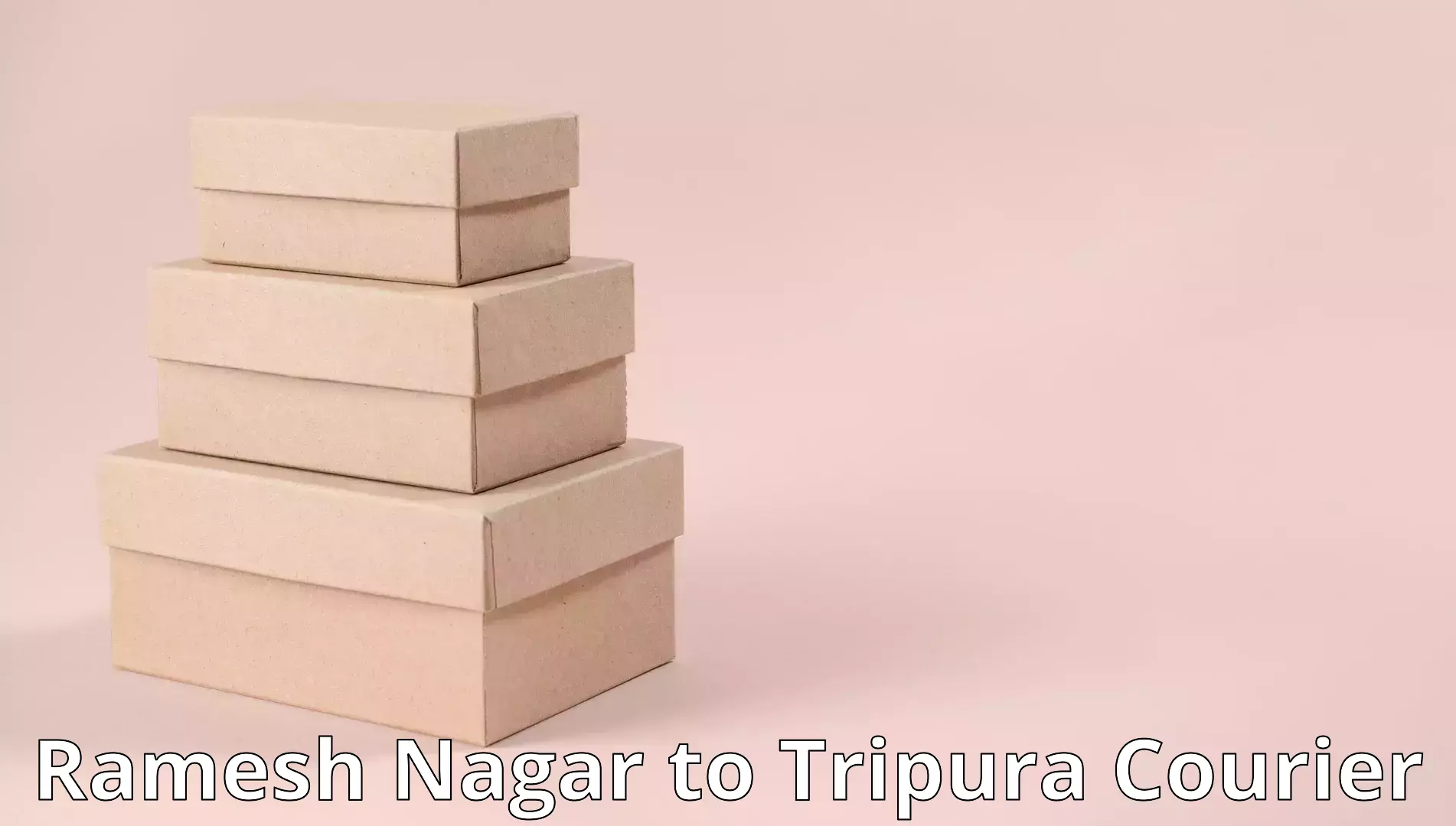 Reliable relocation services Ramesh Nagar to Tripura