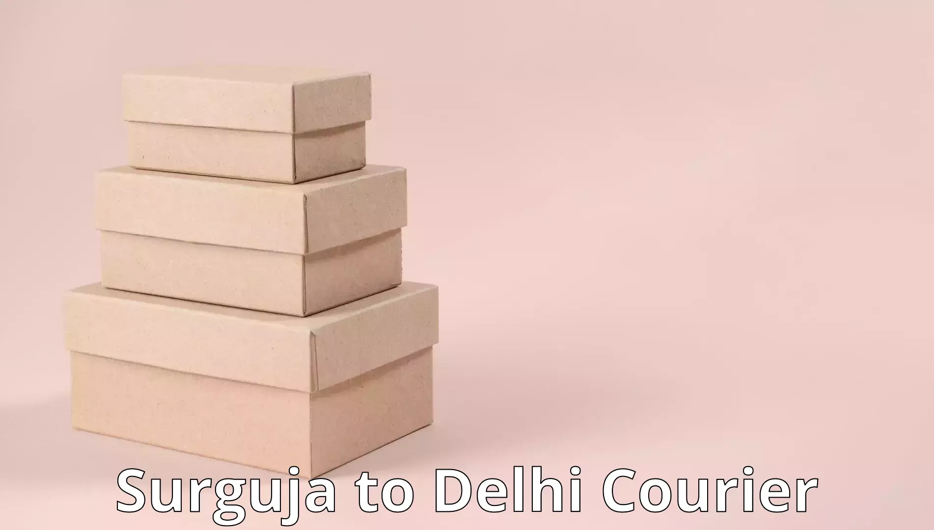 Comprehensive home relocation Surguja to IIT Delhi