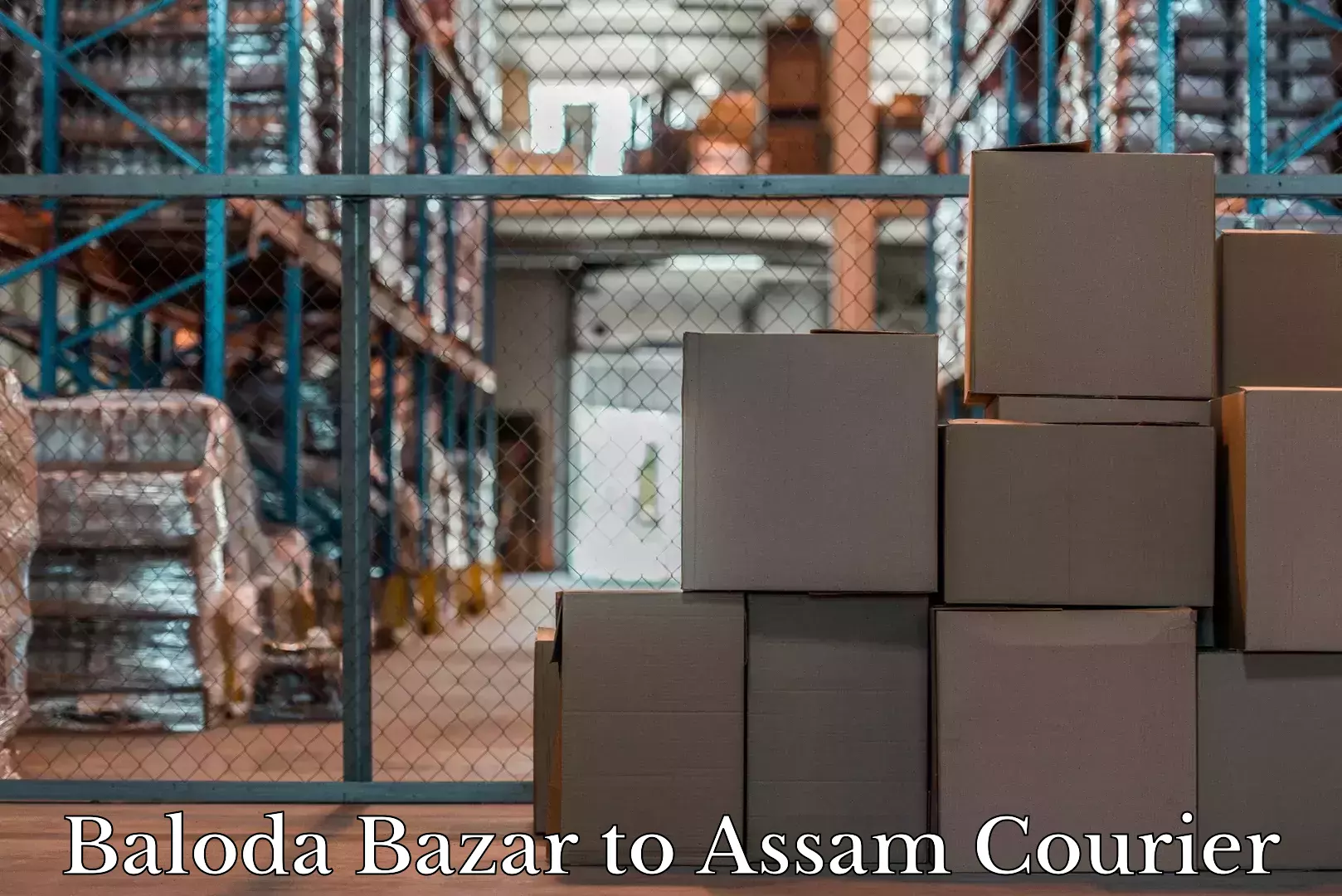 Custom luggage shipping Baloda Bazar to Kusumtola