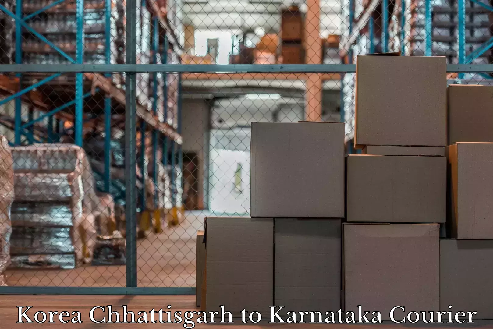 Door to door luggage delivery Korea Chhattisgarh to Mangalore