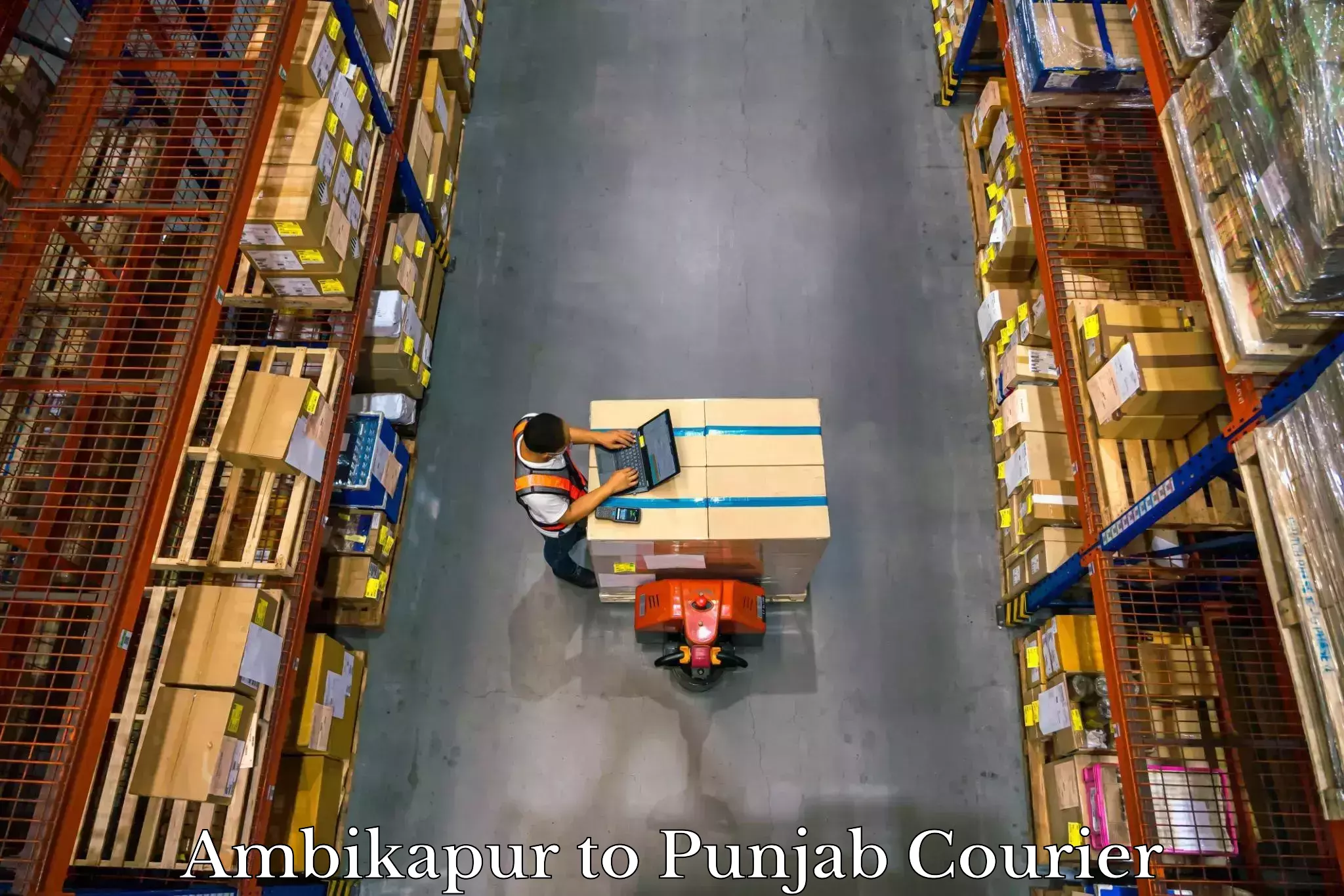 Efficient luggage delivery Ambikapur to Punjab