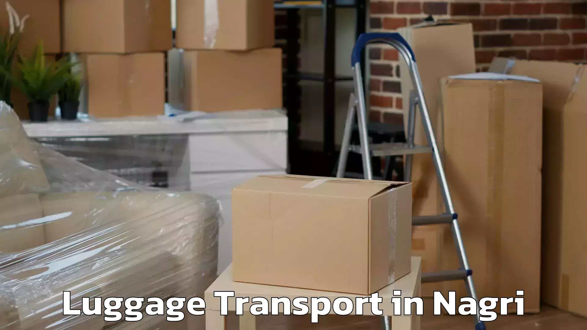 Baggage shipping logistics in Nagri
