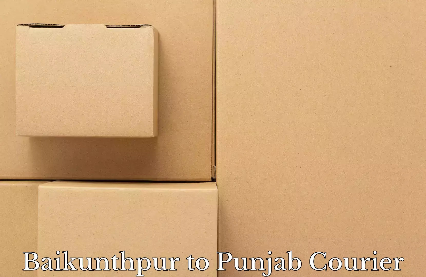 Luggage transport guidelines in Baikunthpur to Punjab