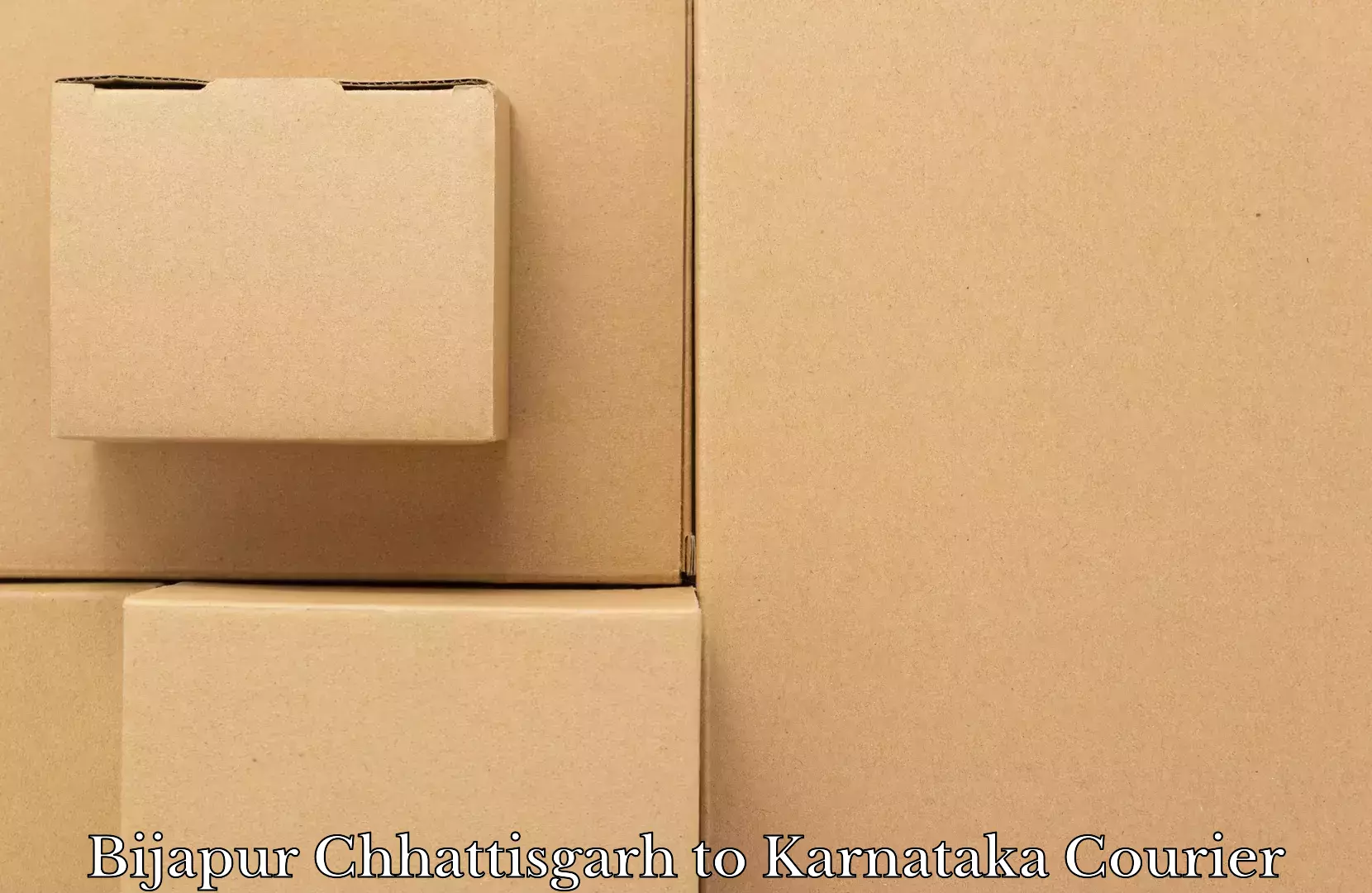 Baggage delivery estimate Bijapur Chhattisgarh to Koppa