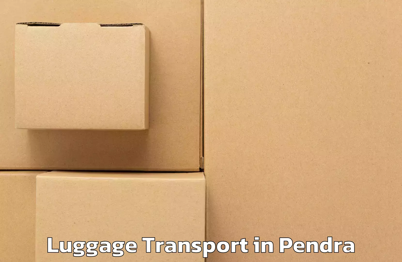 Automated luggage transport in Pendra