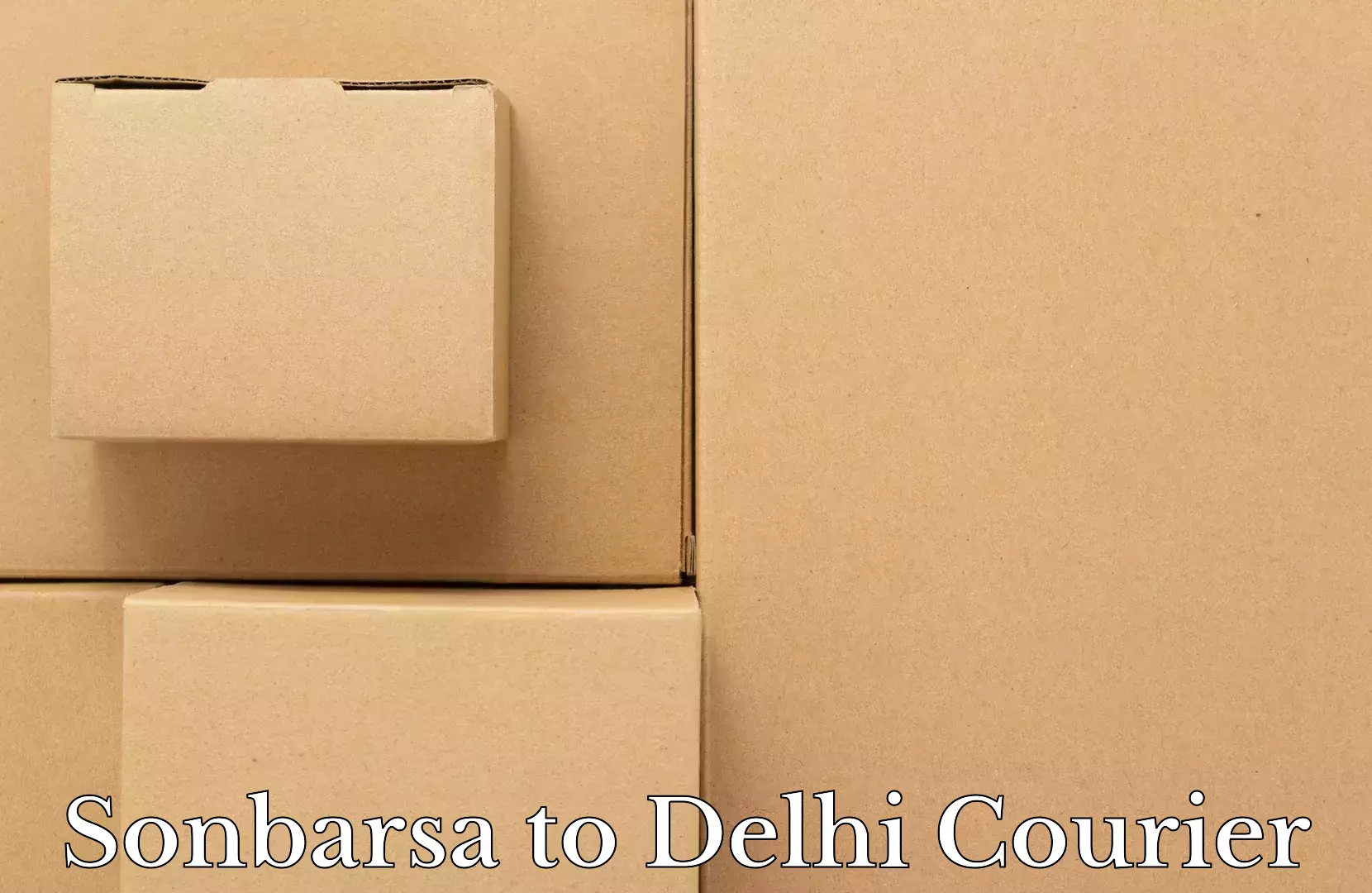 Round trip baggage courier Sonbarsa to Guru Gobind Singh Indraprastha University New Delhi