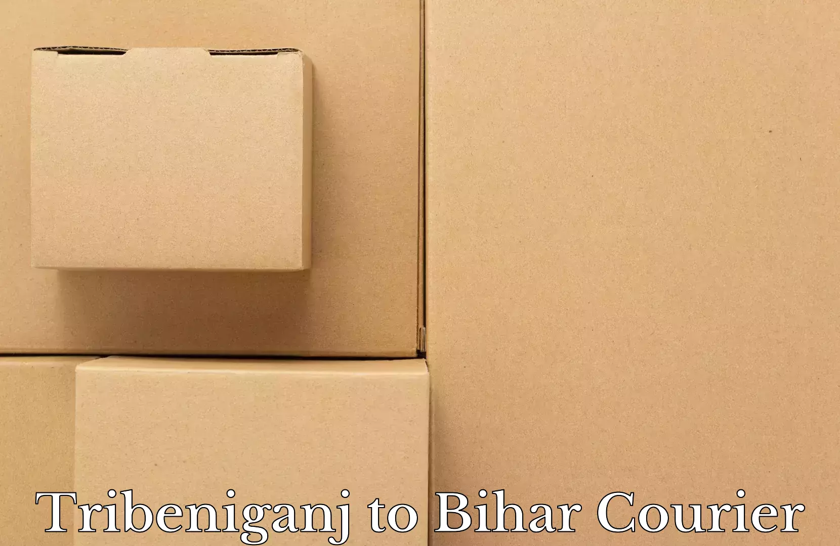 Luggage shipping rates in Tribeniganj to Bharwara