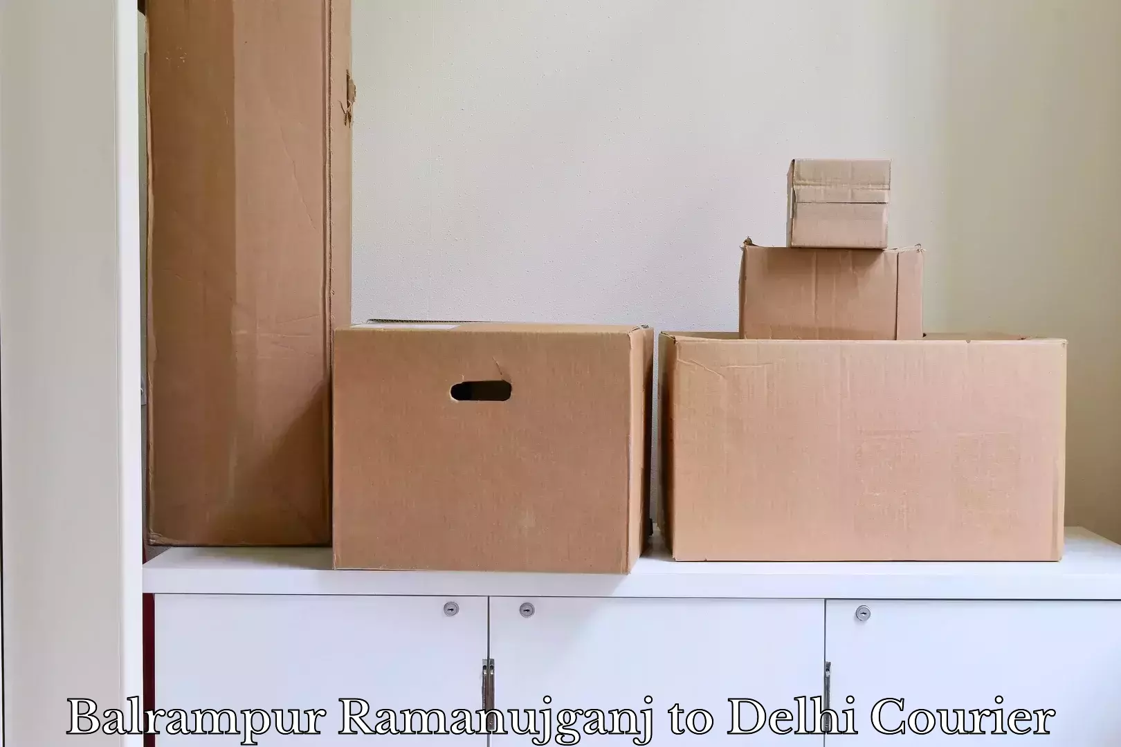 Quick luggage shipment Balrampur Ramanujganj to Delhi