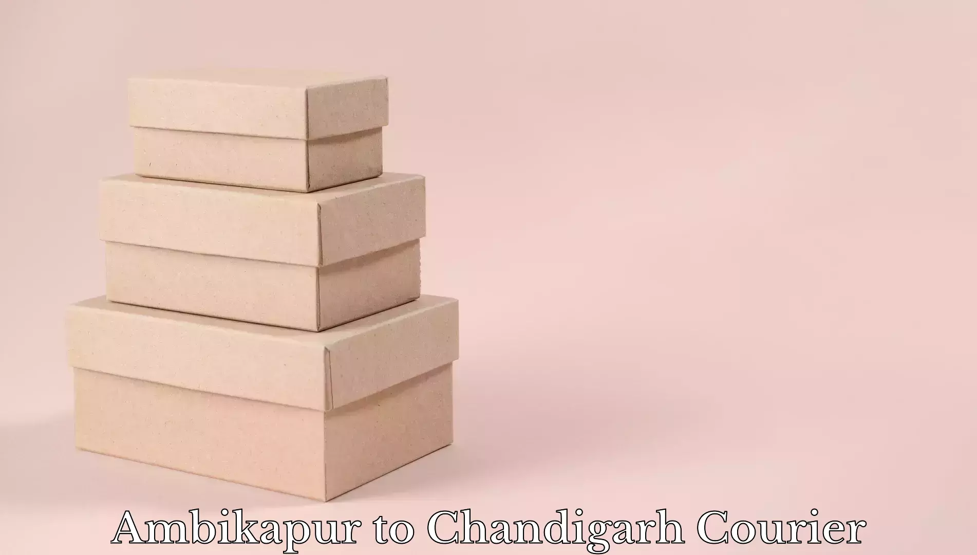 Luggage shipment strategy in Ambikapur to Chandigarh