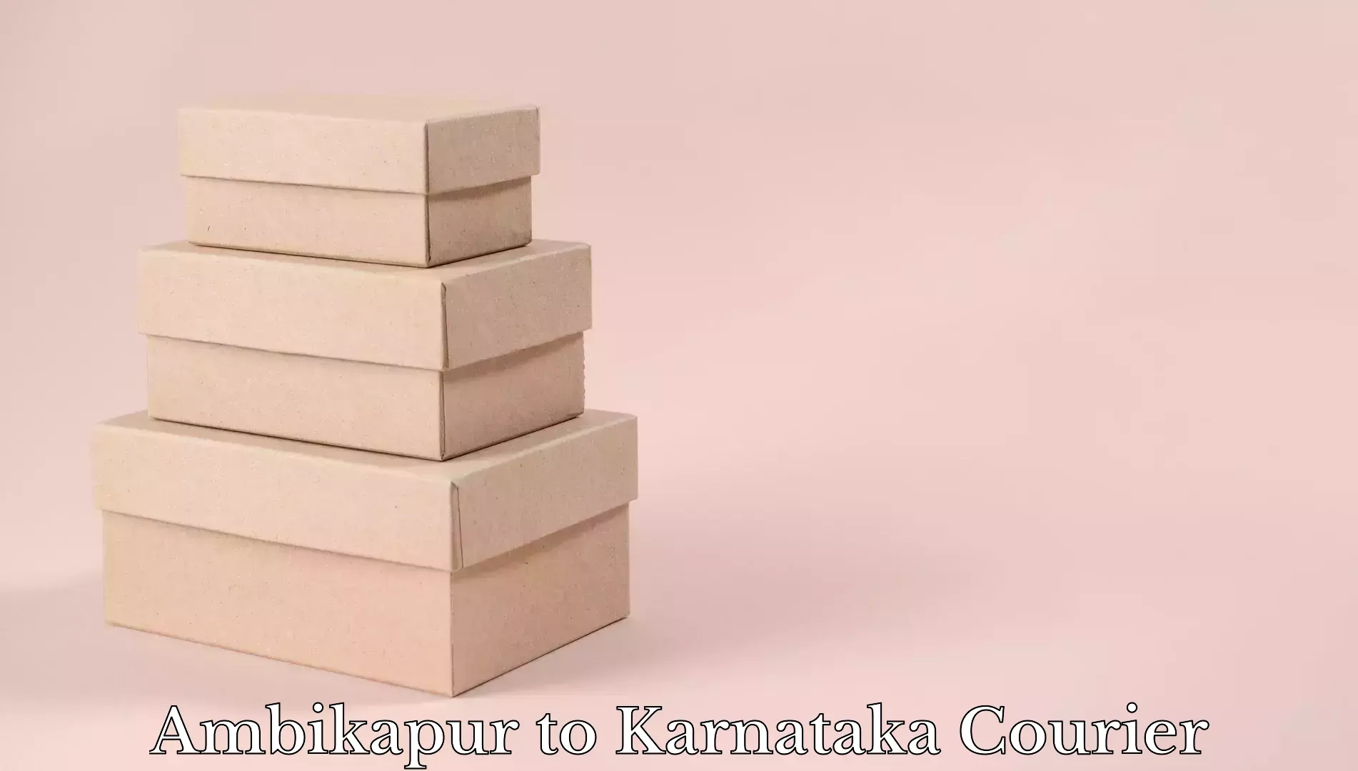 Flexible luggage courier service in Ambikapur to Krishnarajanagara
