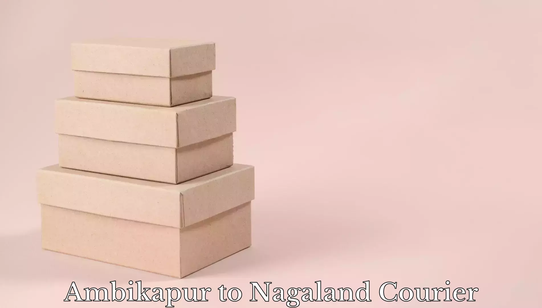 Baggage courier pricing Ambikapur to NIT Nagaland