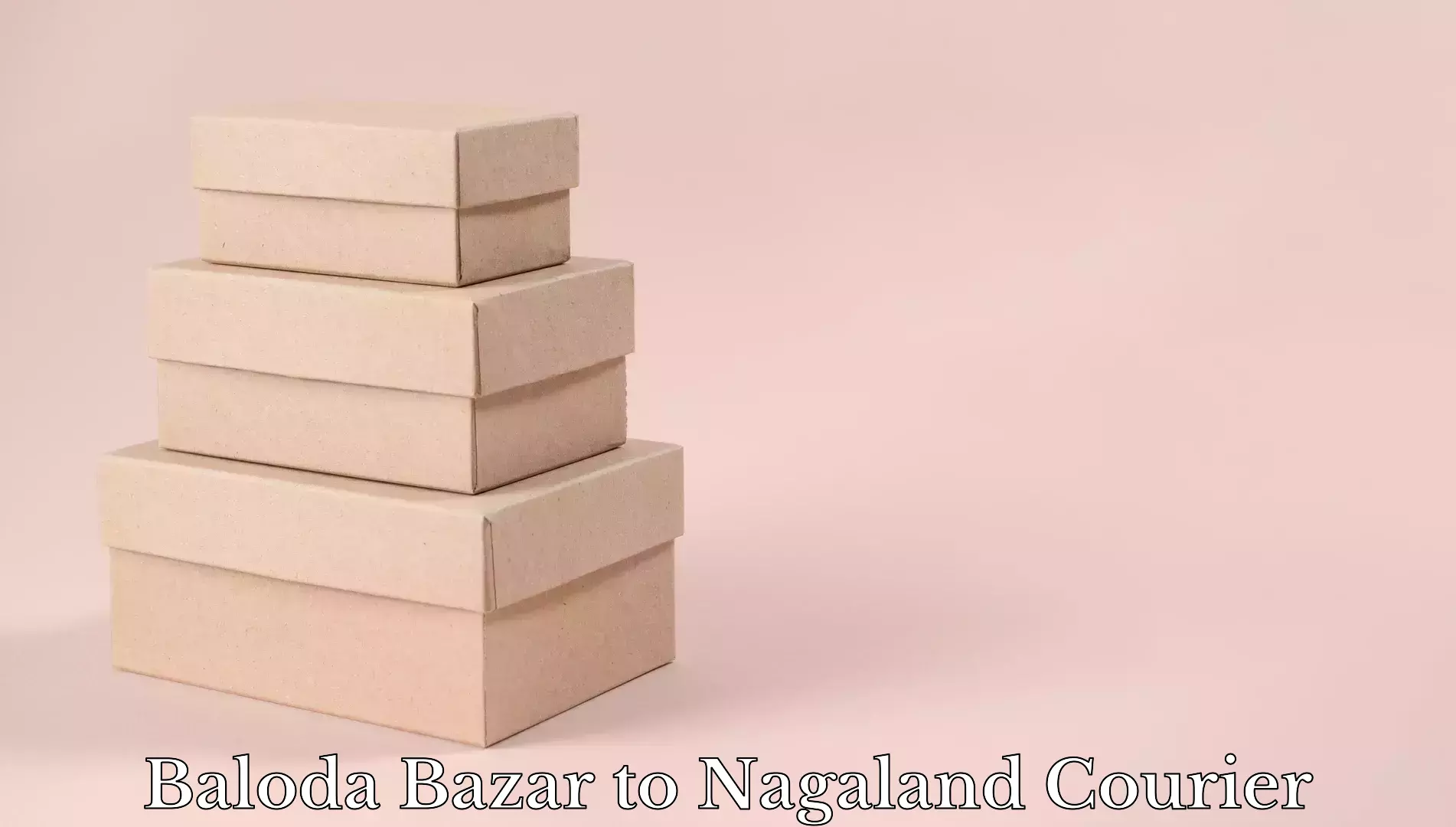 Luggage courier rates calculator Baloda Bazar to NIT Nagaland