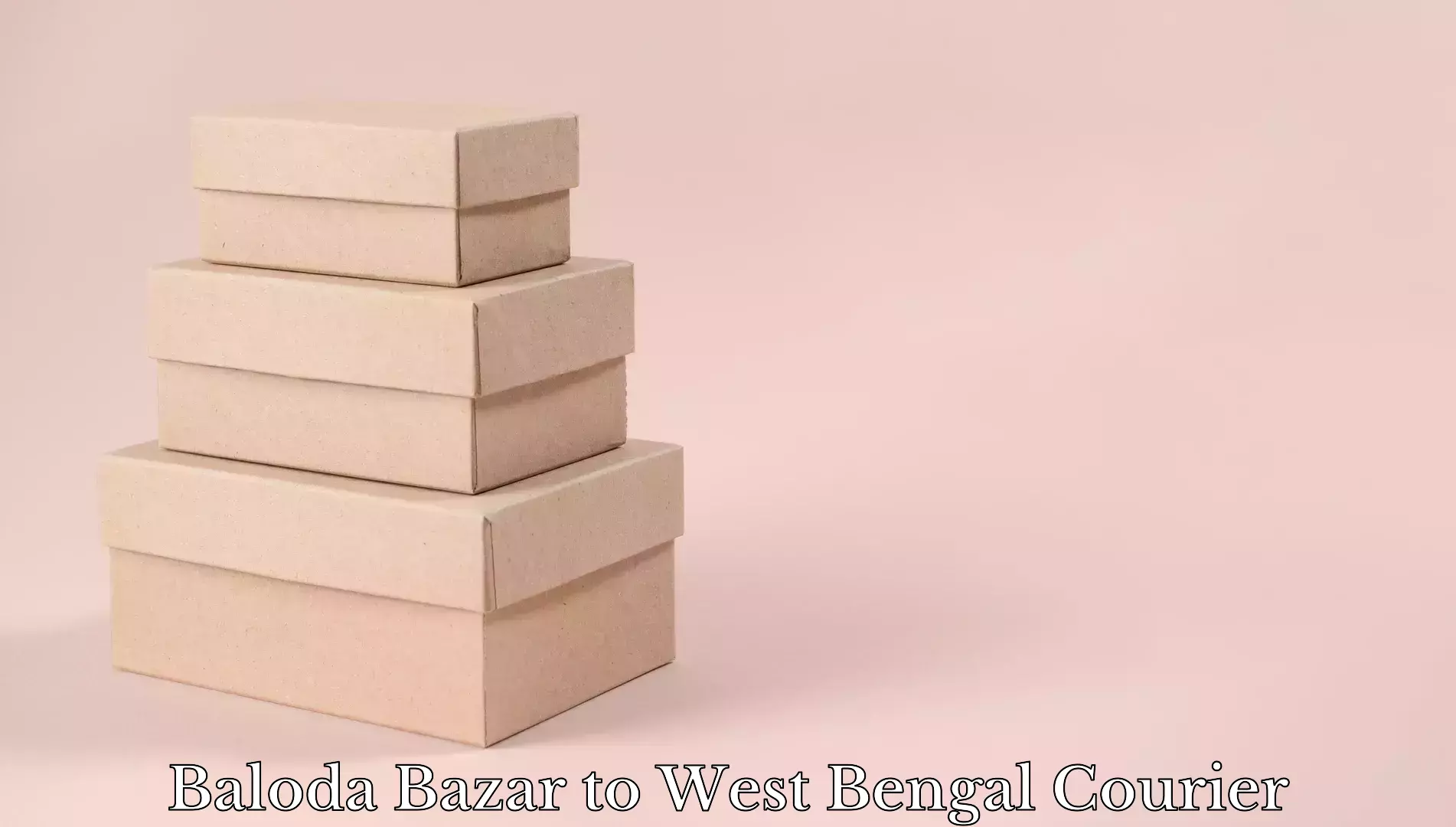 Safe luggage delivery Baloda Bazar to Visva Bharati Santiniketan