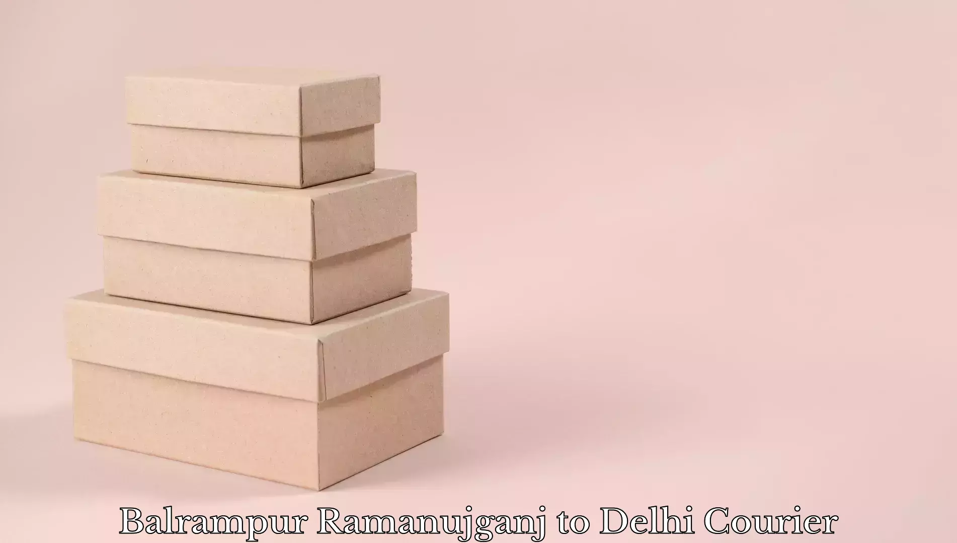 Multi-destination luggage transport Balrampur Ramanujganj to Delhi