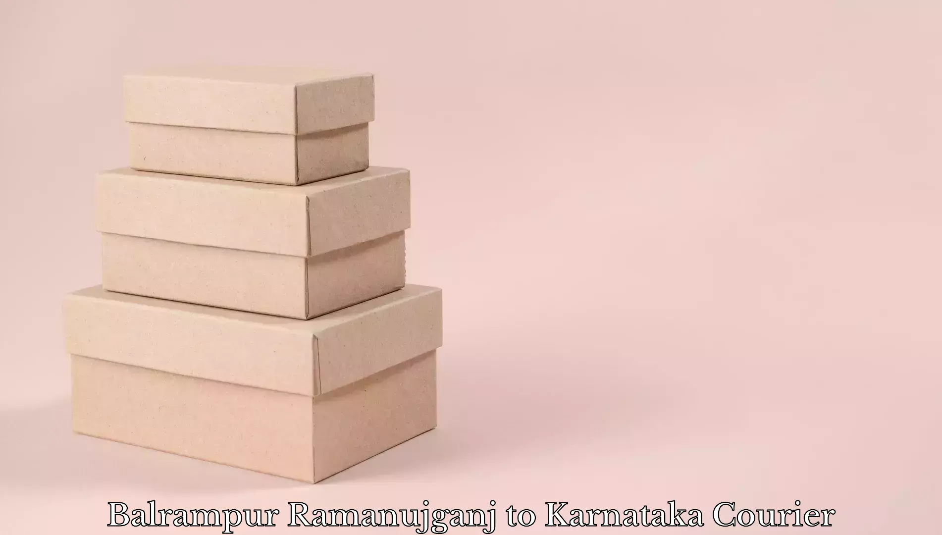 Luggage transport consulting Balrampur Ramanujganj to Karnataka