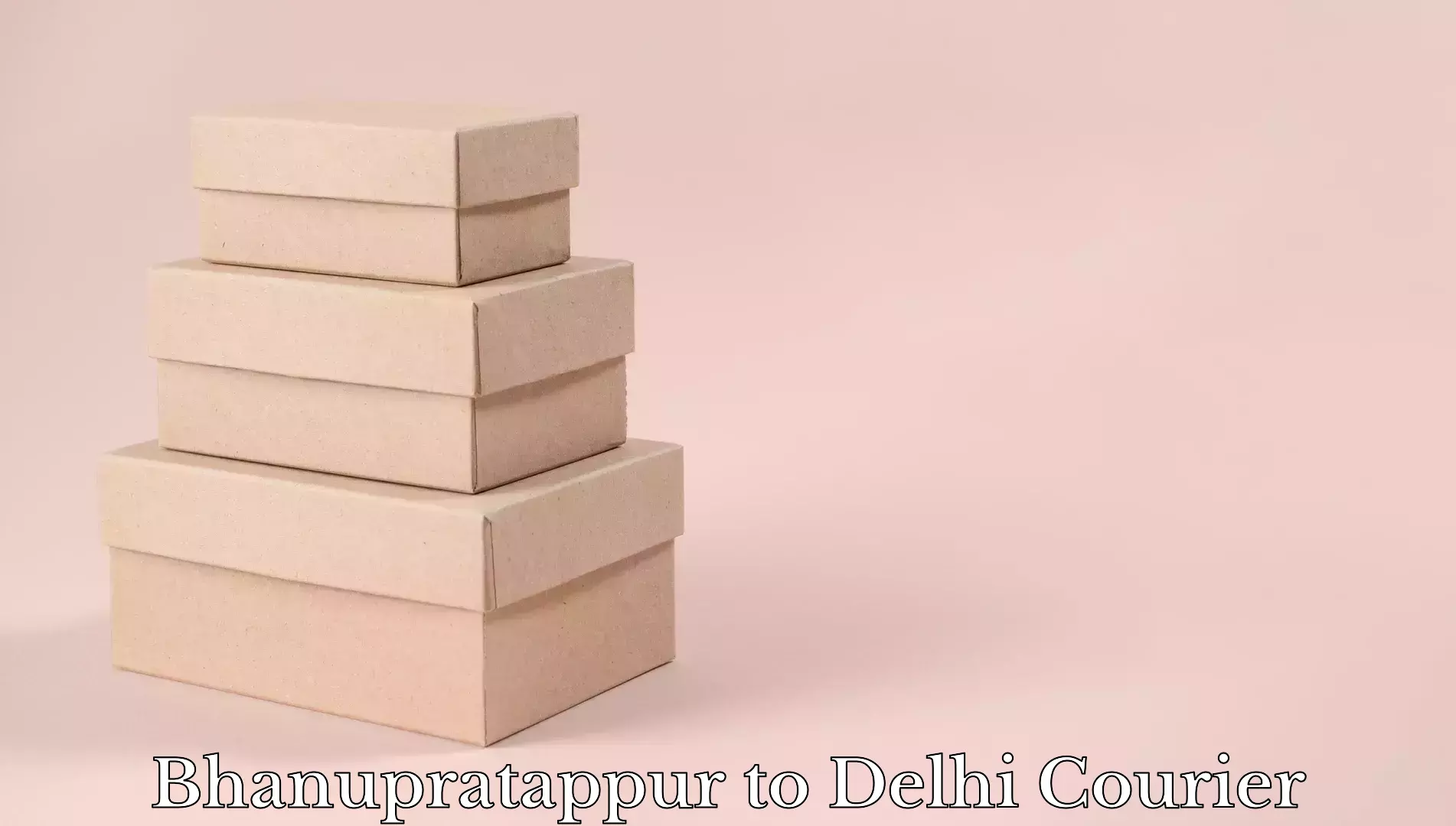 Urgent luggage shipment Bhanupratappur to NIT Delhi
