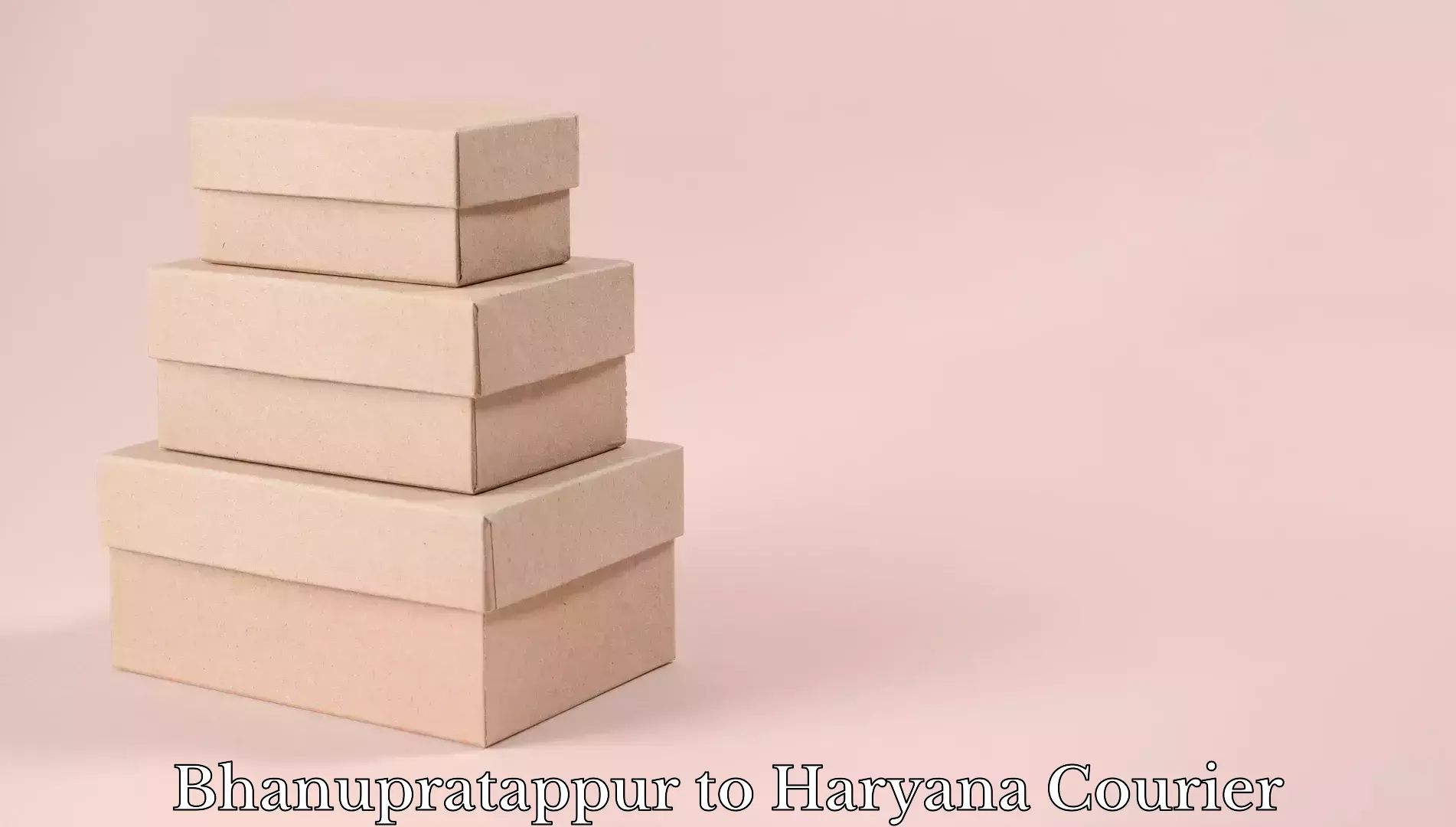 Luggage delivery system Bhanupratappur to Haryana