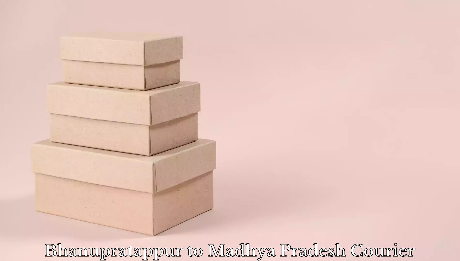Luggage shipping discounts Bhanupratappur to Madhya Pradesh