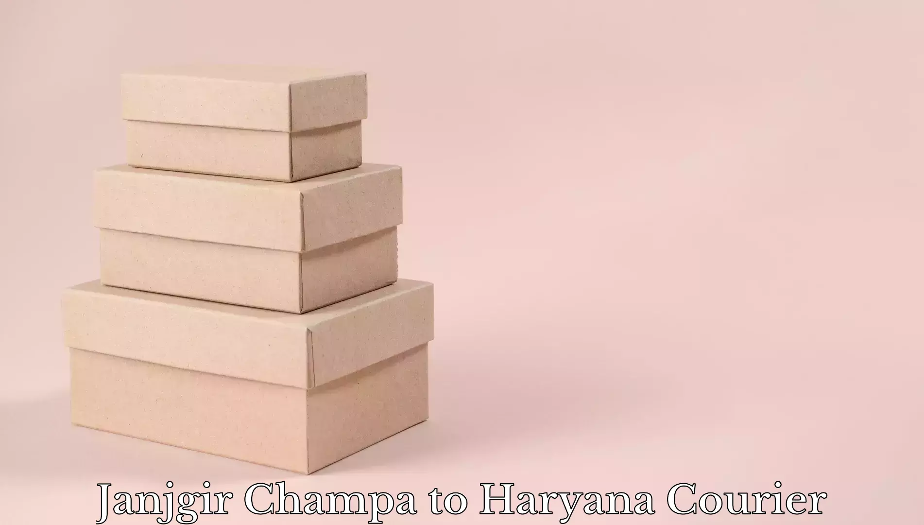 Baggage shipping experience in Janjgir Champa to Pinjore