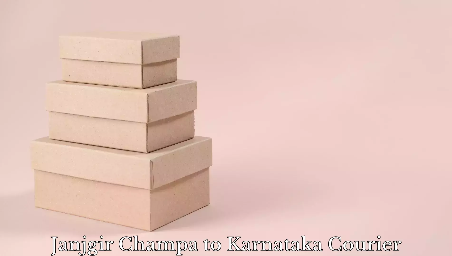 Affordable luggage courier Janjgir Champa to Shahapur