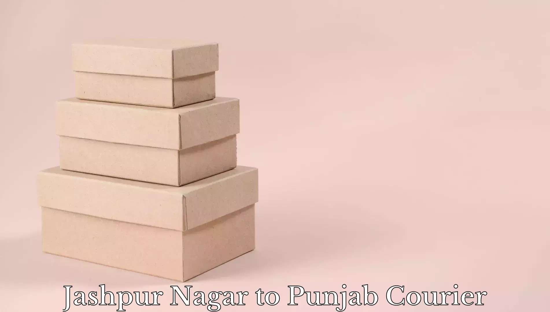 Electronic items luggage shipping Jashpur Nagar to Guru Nanak Dev University Amritsar