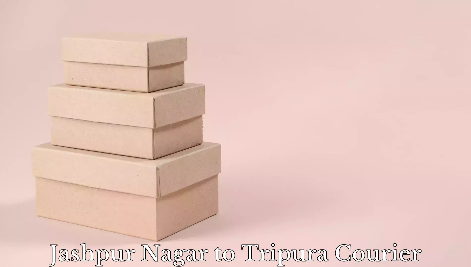 Baggage courier optimization Jashpur Nagar to Aambasa
