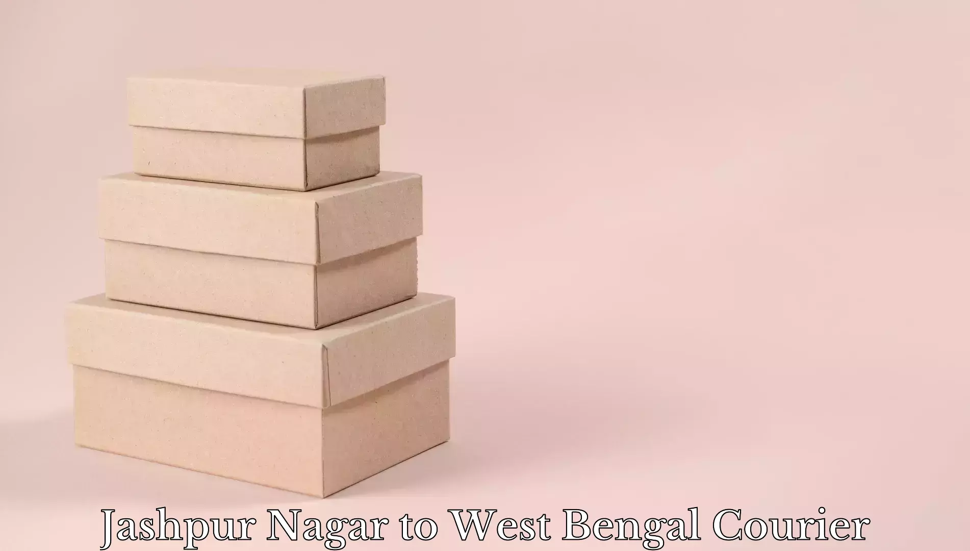 Scheduled baggage courier Jashpur Nagar to Mohammad Bazar