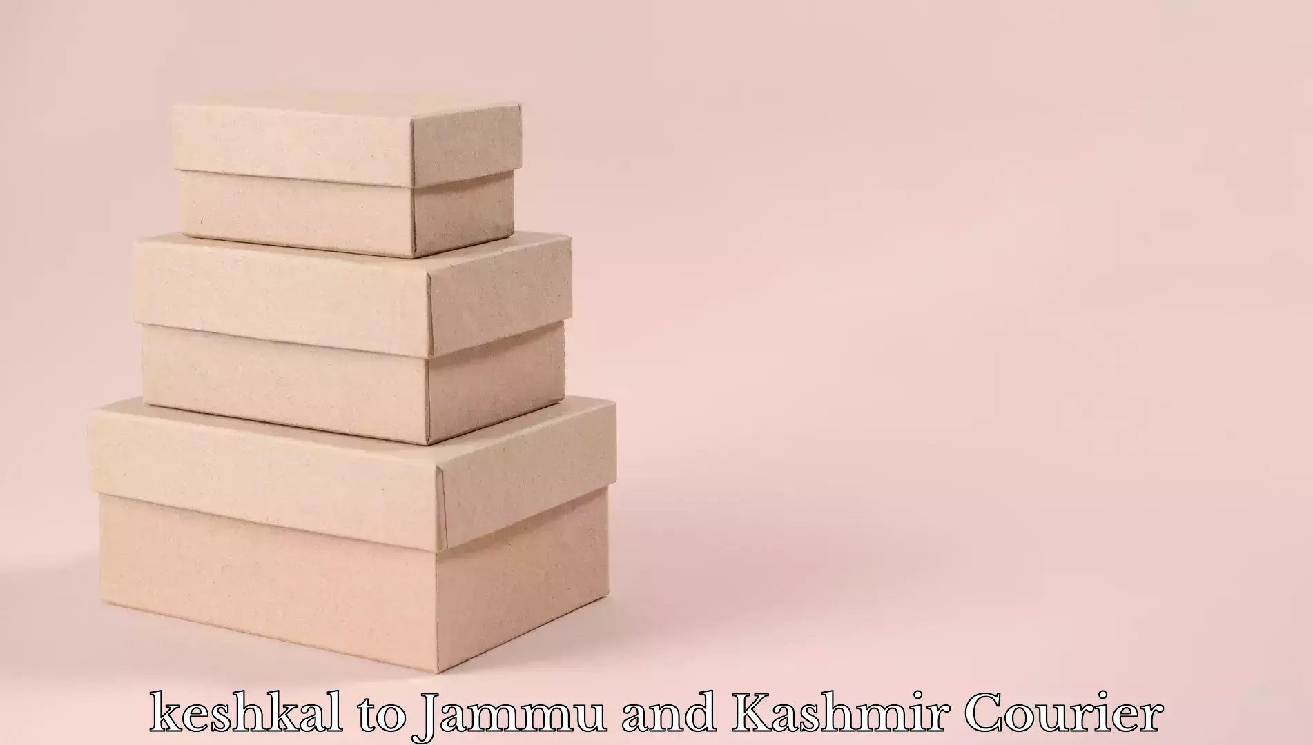 Baggage shipping rates calculator keshkal to NIT Srinagar