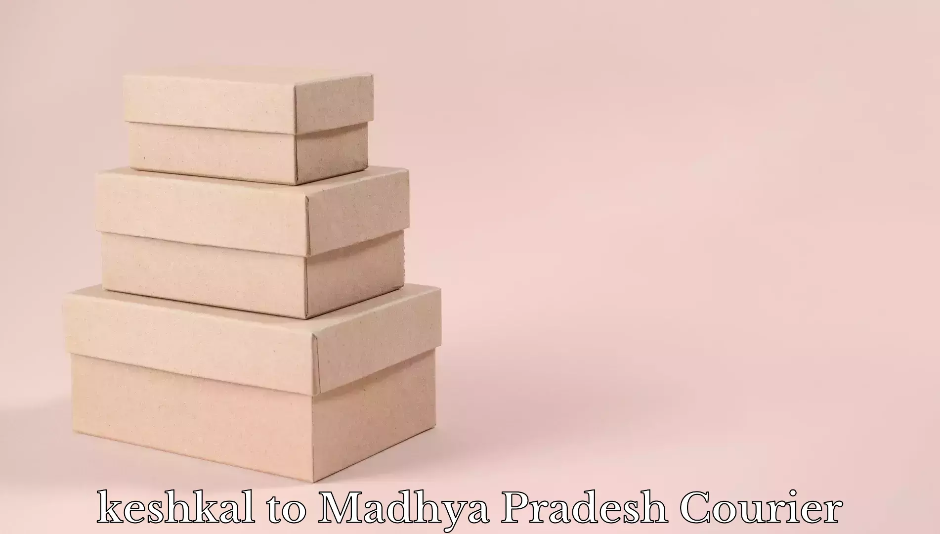 Baggage delivery planning keshkal to Madhya Pradesh