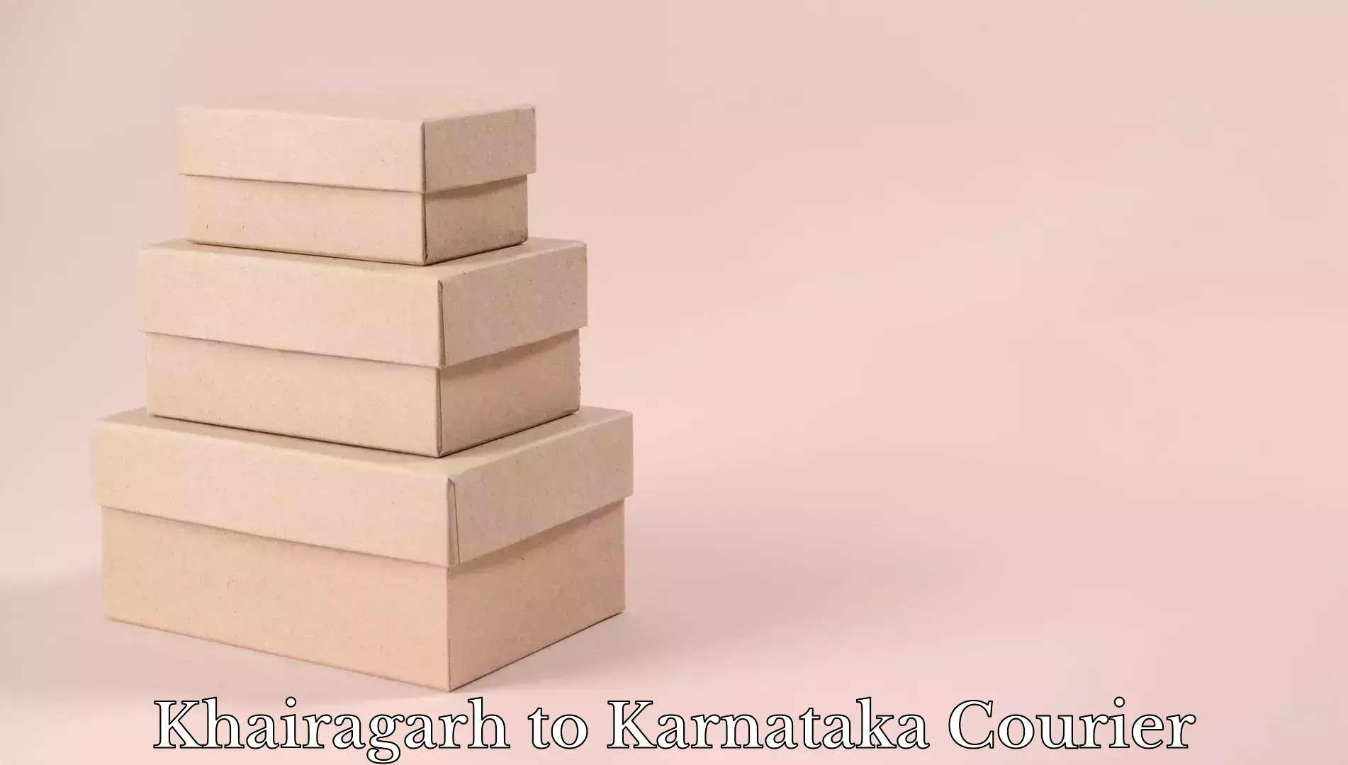 Express baggage shipping Khairagarh to Karnataka