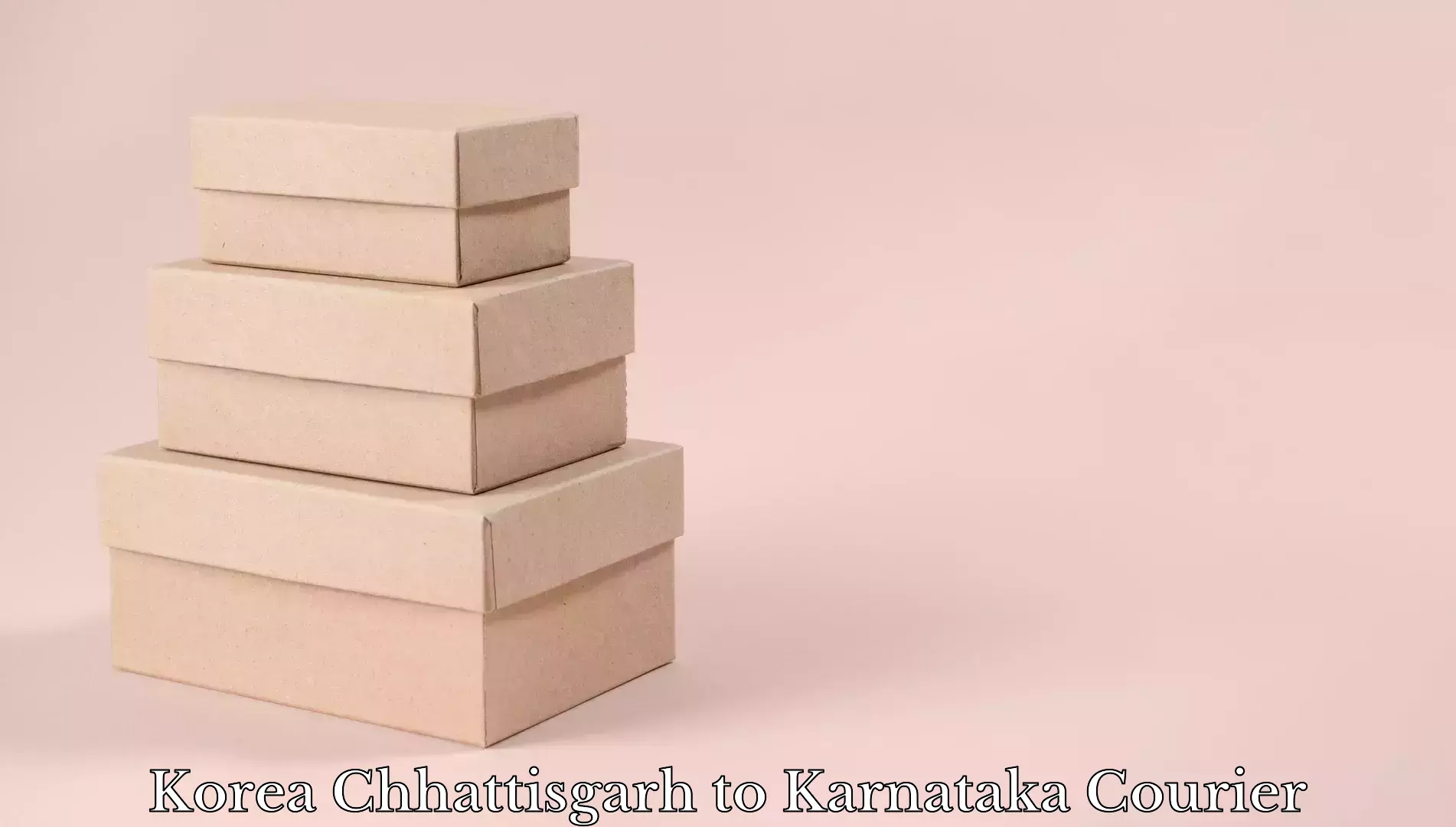 Luggage delivery providers Korea Chhattisgarh to Karnataka
