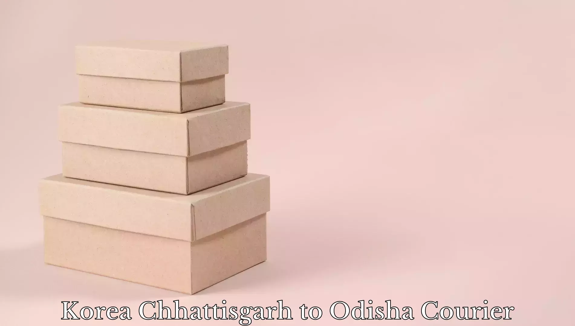 Baggage shipping quotes Korea Chhattisgarh to Siksha O Anusandhan Bhubaneswar