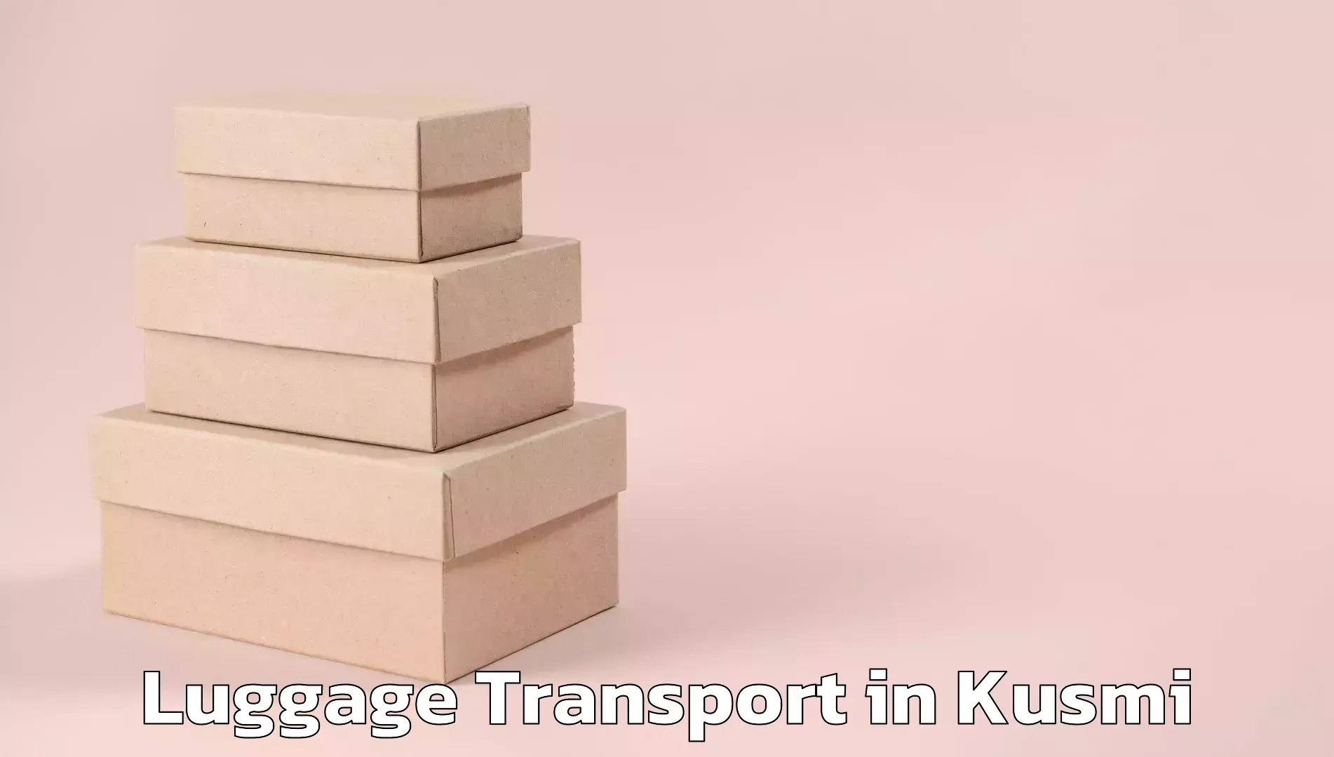 Luggage transport consulting in Kusmi