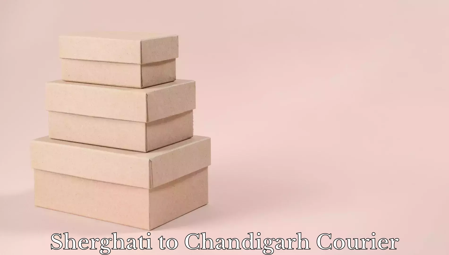 Luggage transport operations Sherghati to Panjab University Chandigarh