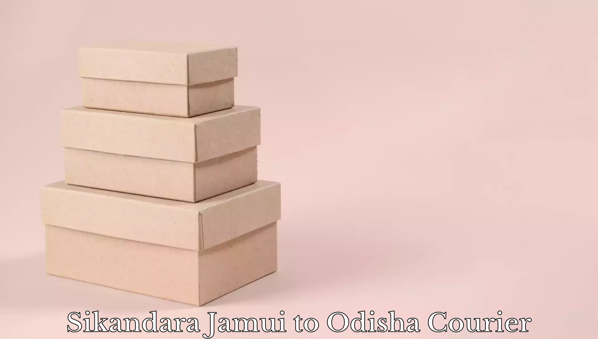 Baggage courier solutions Sikandara Jamui to Odisha