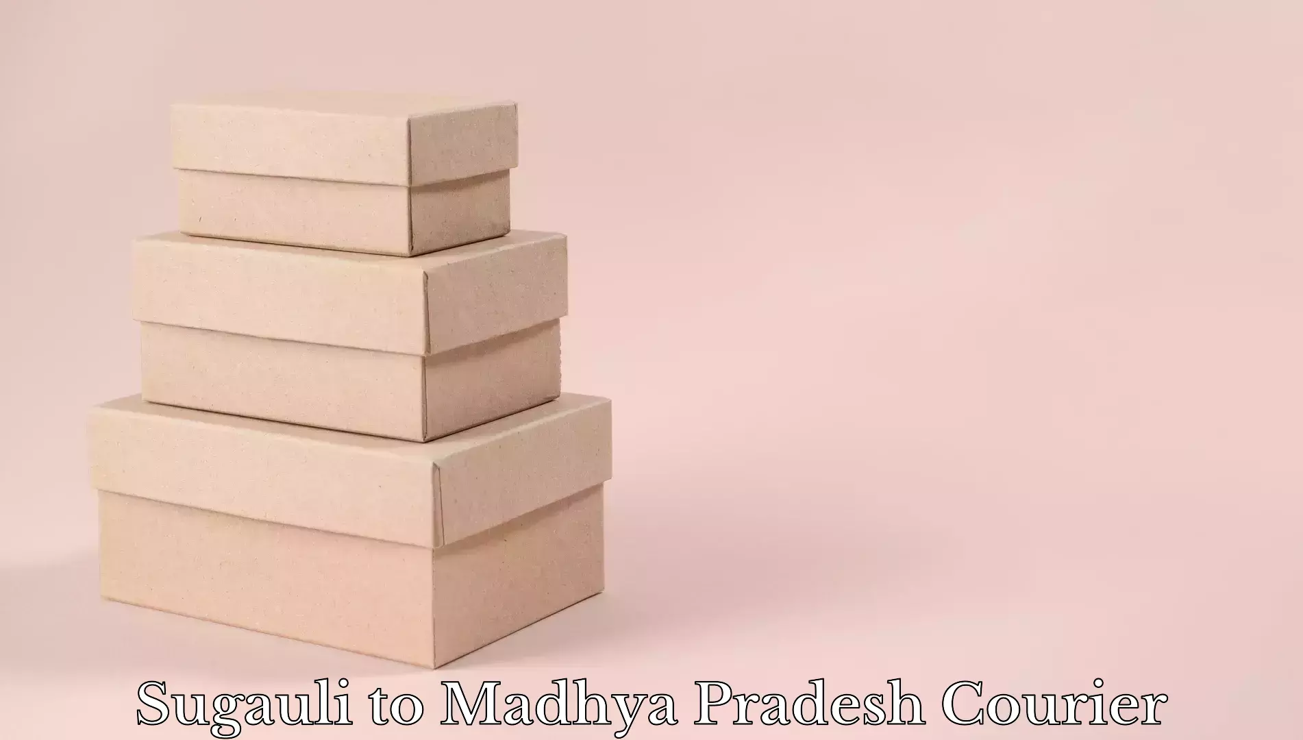 Luggage storage and delivery Sugauli to Madhya Pradesh