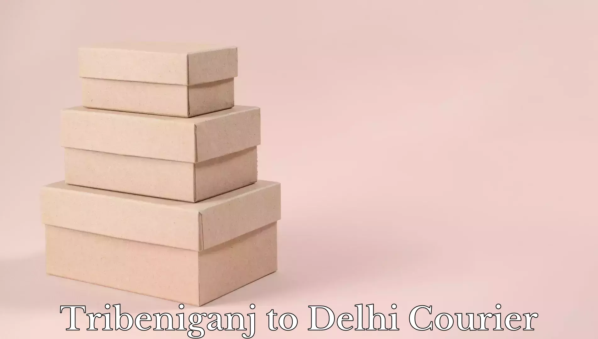 Weekend baggage shipping in Tribeniganj to Delhi Technological University DTU