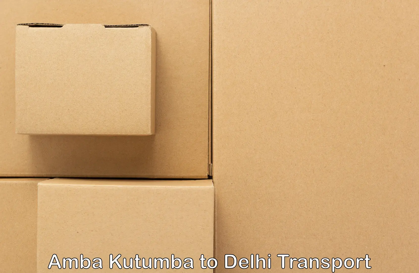 Transportation solution services Amba Kutumba to Burari