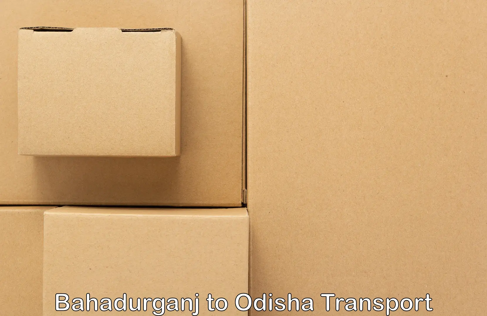 Container transportation services in Bahadurganj to Pappadahandi