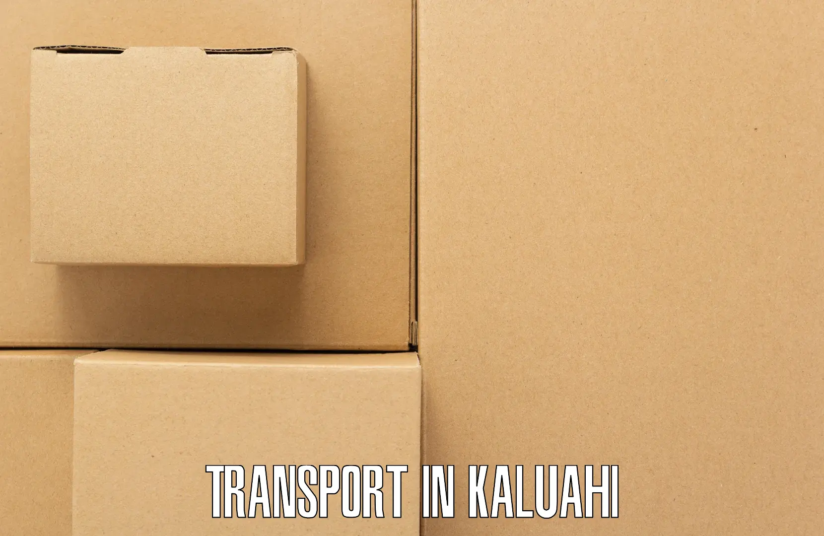 Parcel transport services in Kaluahi