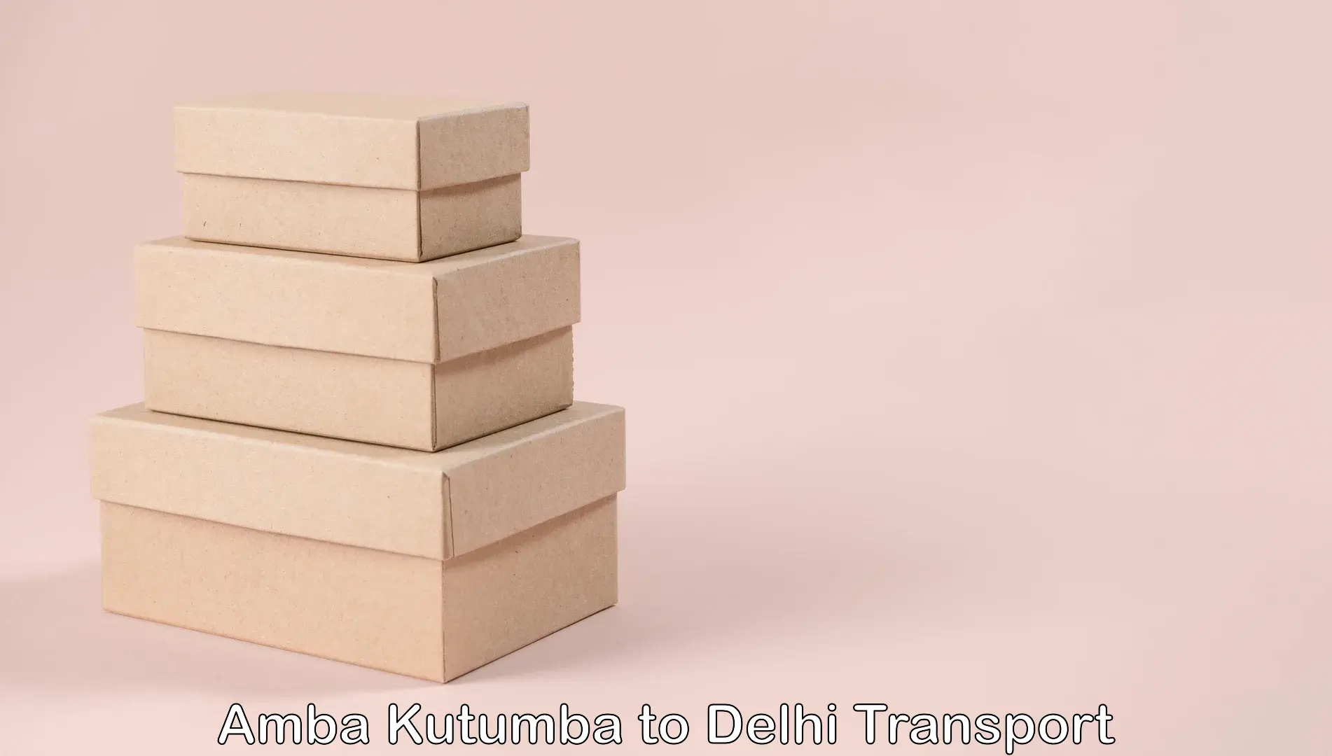 Furniture transport service Amba Kutumba to Jamia Millia Islamia New Delhi