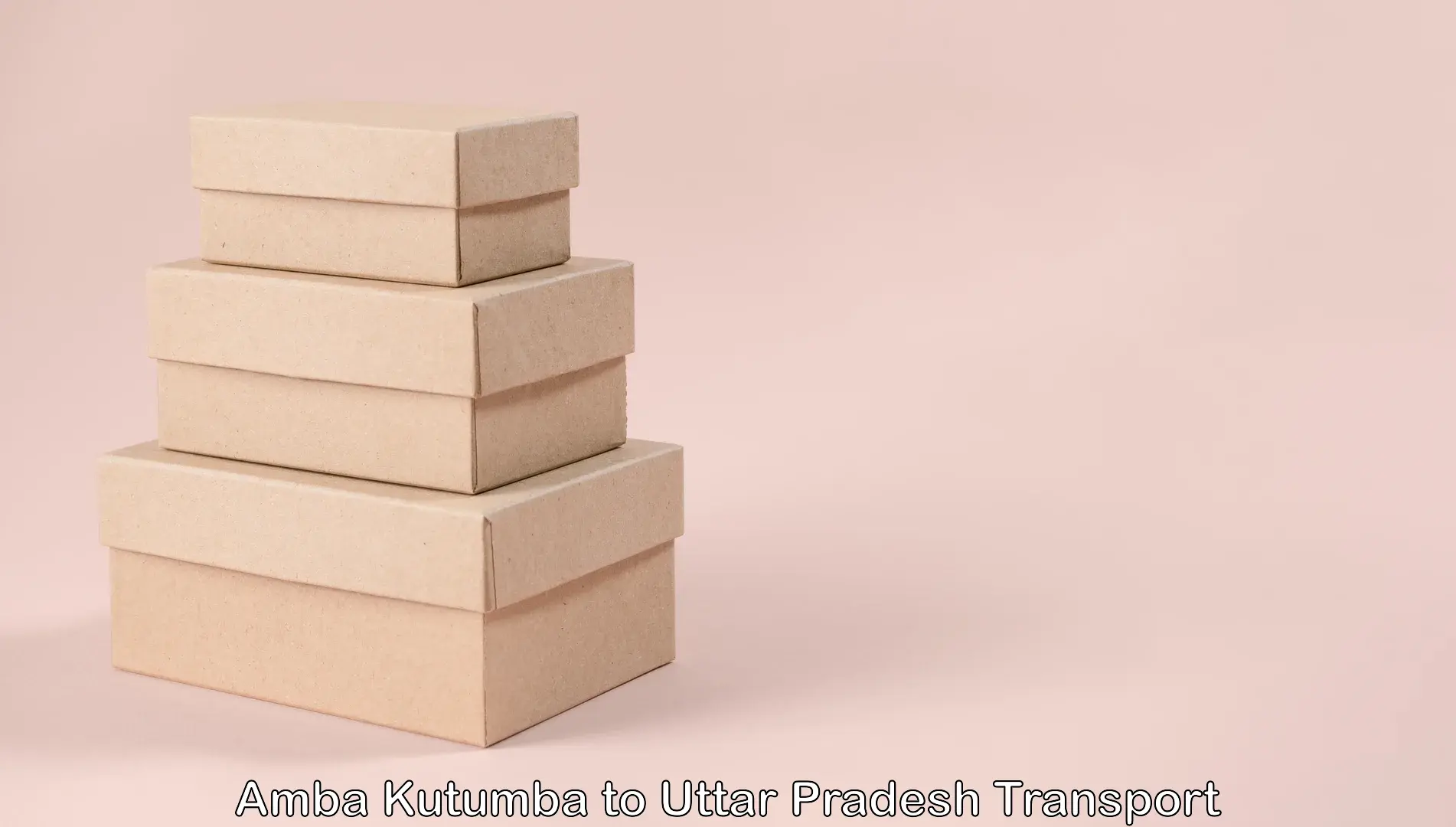 Domestic goods transportation services Amba Kutumba to Hamirpur Uttar Pradesh