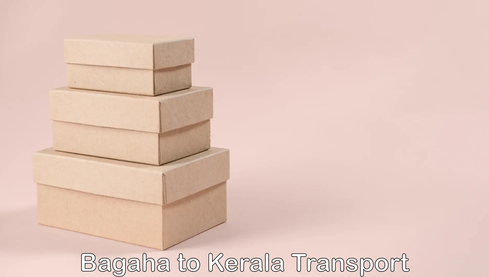 Shipping services Bagaha to Calicut University Malappuram